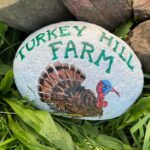 Stone painted with Turkey and text reading 