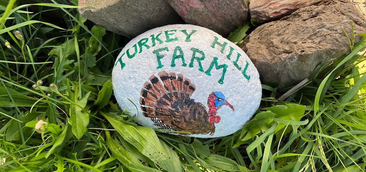 Stone painted with Turkey and text reading 