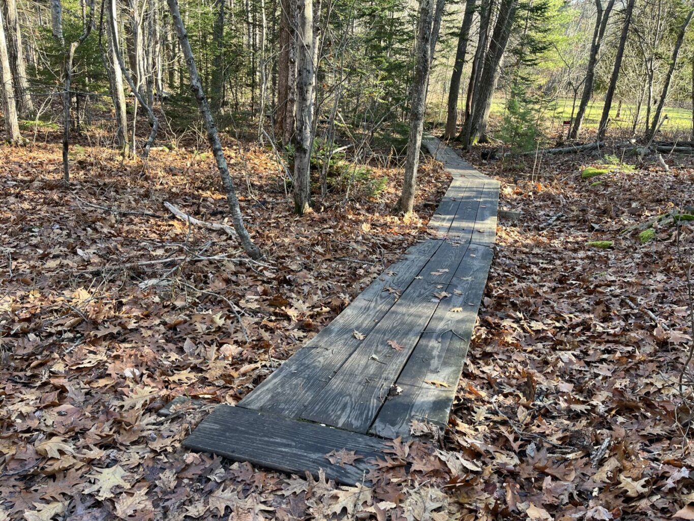 Boardwalk on the Canter Way trail easement